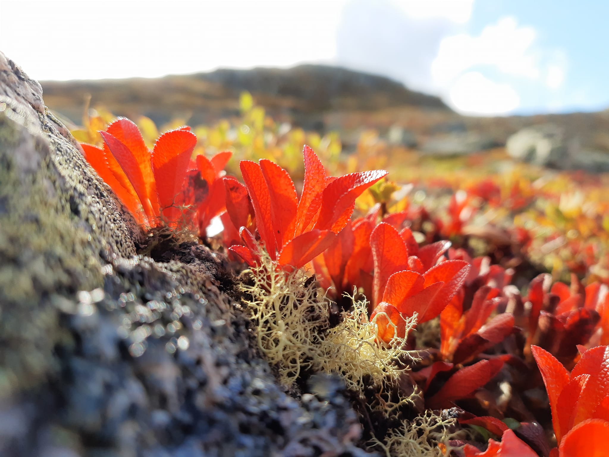 Retreat med fjellturer